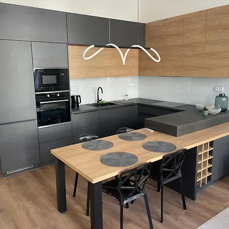 Drobneho Park Apartment Brno